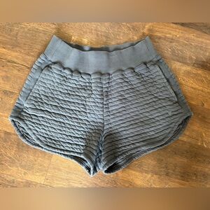 Everlane Charcoal Quilted Athletic Shorts